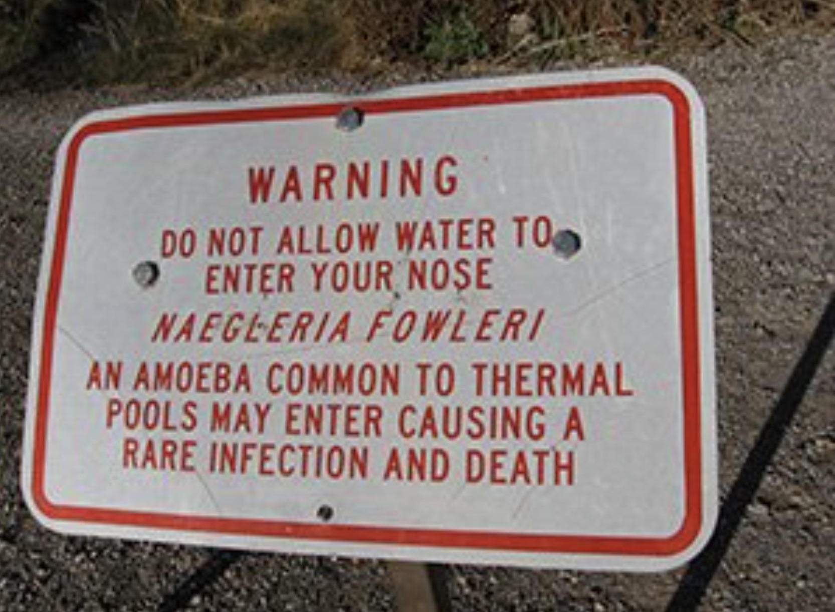 signage - Warning Do Not Allow Water To Enter Your Nose Naegleria Fowleri An Amoeba Common To Thermal Pools May Enter Causing A Rare Infection And Death